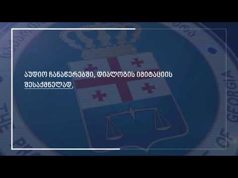 ახალი დეტალები ბერა ივანიშვილისა და ირაკლი ღარიბაშვილის სატელეფონო საუბრებზე